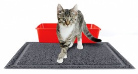 Starter kit, стартовый набор для кота / Kitty City (США)