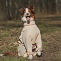 Комбинезоны с ловушками от клещей для собак, девочки / OSSO Fashion (Россия)