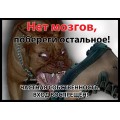 Табличка "Нет мозгов, побереги остальное!" / ДАРЭЛЛ (Россия)