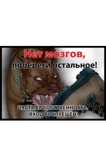 Табличка "Нет мозгов, побереги остальное!" / ДАРЭЛЛ (Россия)