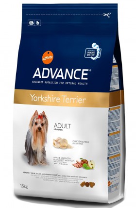 Yorkshire Terrier, корм для Йоркширских терьеров / Advance (Испания)