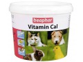 Vitamin Cal, пищевая добавка для животных / Beaphar (Нидерланды)
