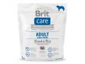Brit Care Adult Large Breed Lamb and Rice, корм для крупных пород собак / Brit (Чехия)