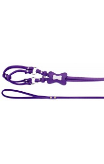 Комплект для собаки, фиолетовый / Dezzie