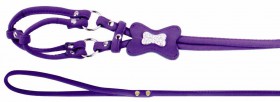 Комплект для собаки, фиолетовый / Dezzie
