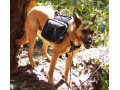 купить рюкзак для собаки Summit