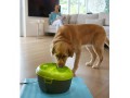 DogH2O, автоматическая поилка-фонтан для собак / Feed-Ex