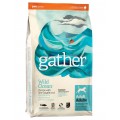 GATHER Wild Ocean Fish DF, органический корм для собак, с океанической Рыбой / Petcurean (Канада)