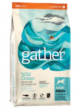 GATHER Wild Ocean Fish DF, органический корм для собак, с океанической Рыбой / Petcurean (Канада)