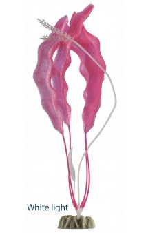 Color-Changing Plant X-Large Pink, Розовое растение, декорация с GLO-эффектом / GloFish (США)