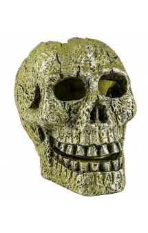 Skull, Череп, декорация с GLO-эффектом / GloFish (США)