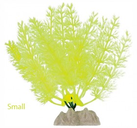 купить GloFish Желтое растение