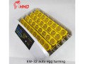 Инкубатор HHD 32, цифровой дисплей / HHD (Китай)