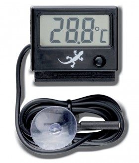купить цифровой термогигрометр для террариумов