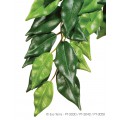 Ficus, Фикус, искусственное растение / Hagen (Германия)