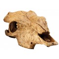 Buffalo Skull, укрытие "Череп бизона" / Hagen (Германия)