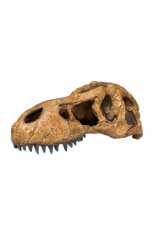 T-Rex Skull, укрытие "Череп динозавра" / Hagen (Германия)