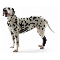 Rehab, протектор скакательного сустава собаки / Kruuse (Дания)