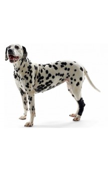 Rehab, протектор скакательного сустава собаки / Kruuse (Дания)