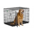 iCrate 1542DD, клетка для собак до 40 кг, две двери / MidWest (США)