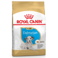Dalmatian junior, корм для щенков Далматина / Royal Canin (Франция)