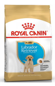 Labrador Retriever junior, корм для щенков Лабрадора / Royal Canin (Франция)