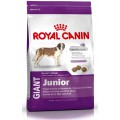 GIANT Junior / Royal Canin (Франция)