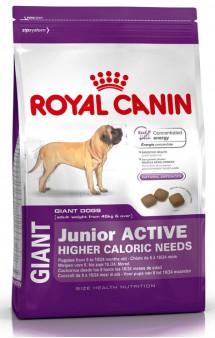 GIANT Junior ACTIVE / Royal Canin (Франция)