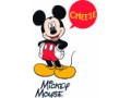Футболка Disney Mickey / Triol (Китай)