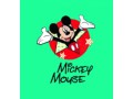 Толстовка Disney Mickey / Triol (Китай)