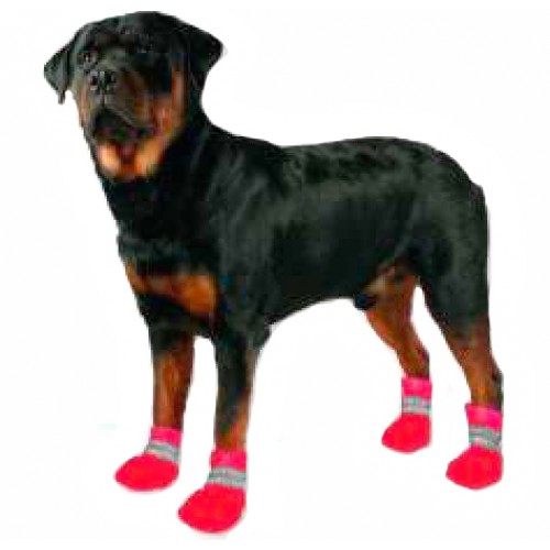 обувь для собак paw tectors
