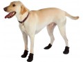 купить Snow go dog boots
