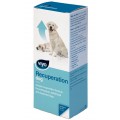 Viyo Recuperation Dog, питательный напиток для собак всех возрастов / VIYO (Бельгия)