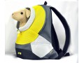 Переноска-рюкзак для собак Crazy Paws, желтый / ZIVER