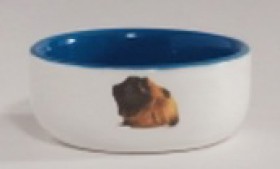 Миска керамическая с изображением морской свинки, голубая / I.P.T.S.(Нидерланды)