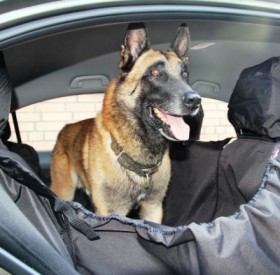 Автогамак OSSO Car Premium для перевозки собак с защитой обивки дверей / OSSO Fashion ( Россия)