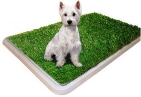 Potty Patch, туалет для собак с газонной травой / Wonpet (Китай)