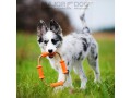 Игрушка для собак Тассел / Major Dog (Германия)