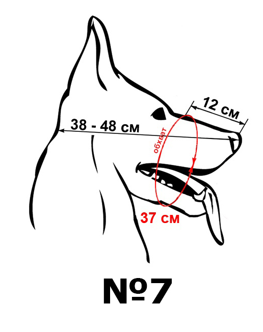 Как подобрать намордник по размеру. Как измерить размер морды собаки для намордника. Обхват морды немецкой овчарки намордник для овчарки. Как измерить размер намордника для собаки. Как выбрать намордник для собаки по размеру.